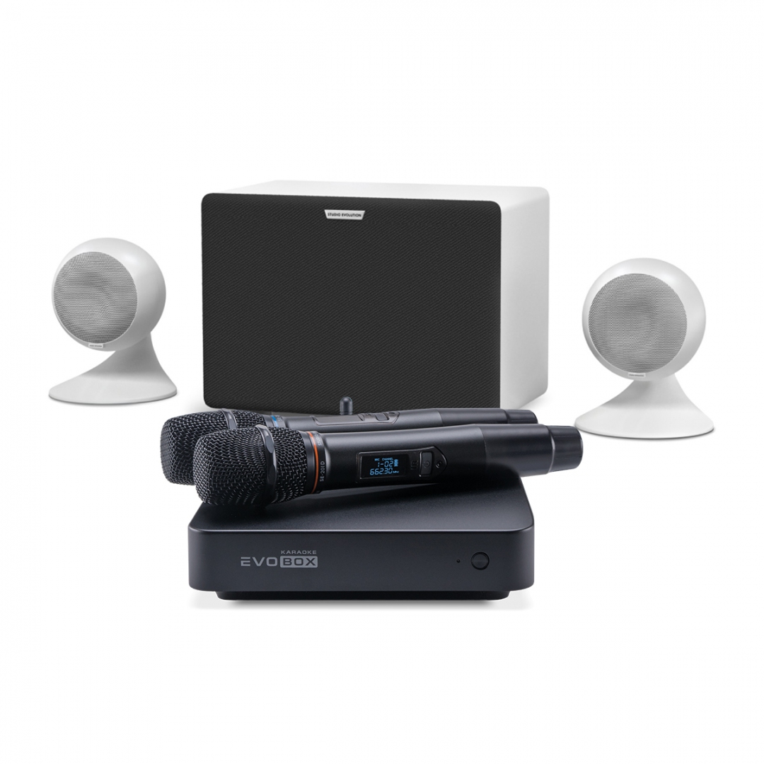 караоке-комплект EVOBOX Classic + EvoSound Sphere 2.1 в Бахчисарае