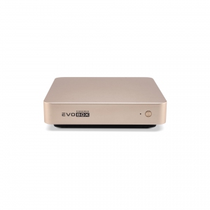 EVOBOX с микрофонами в Бахчисарае